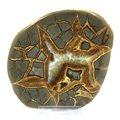 Septarian